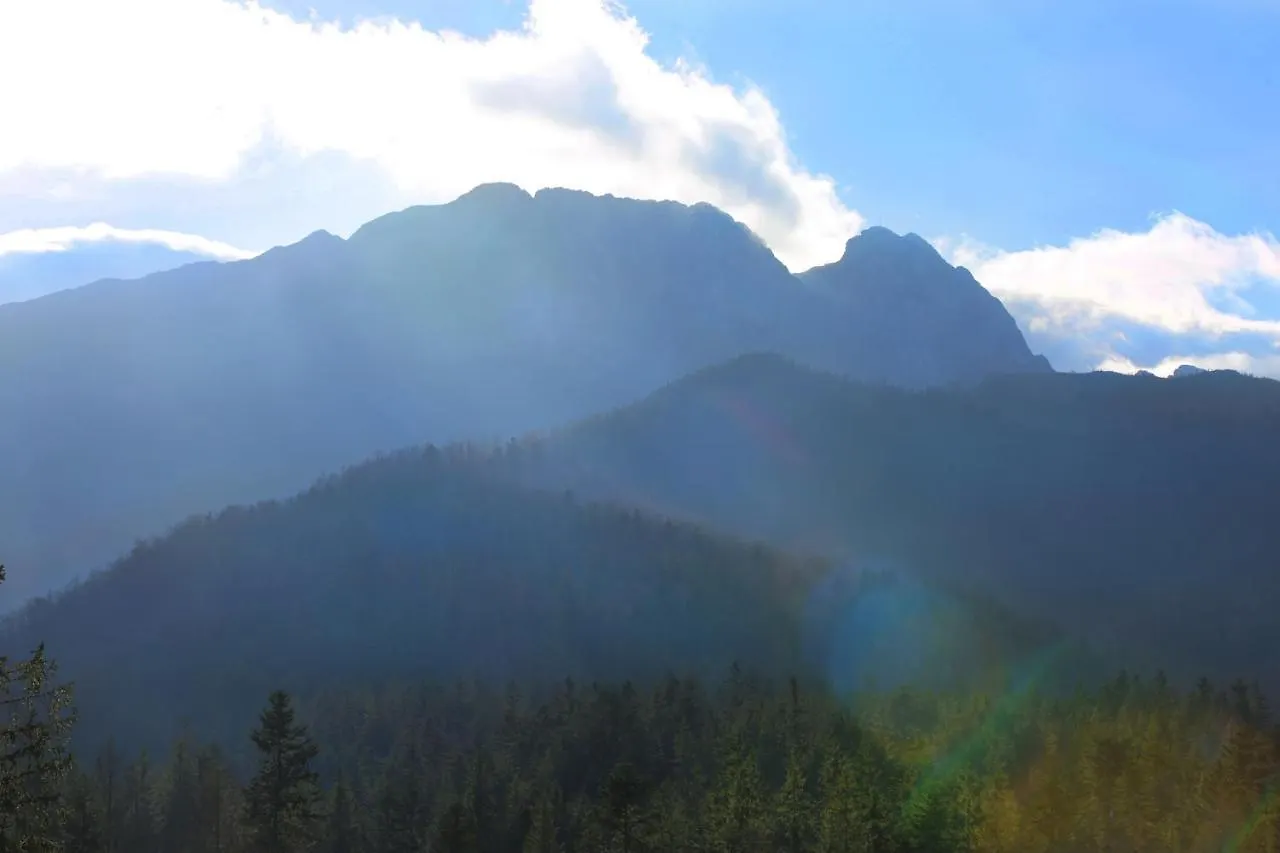 Green Deer Premium Zakopane Apartament